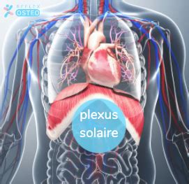 plexus solaire douleur|Douleur au plexus solaire : comment l’identifier et la .